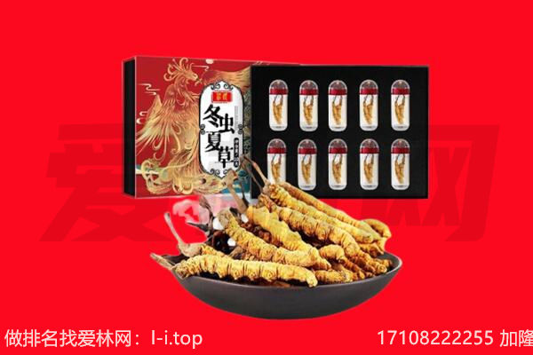 白城市回收虫草.jpg